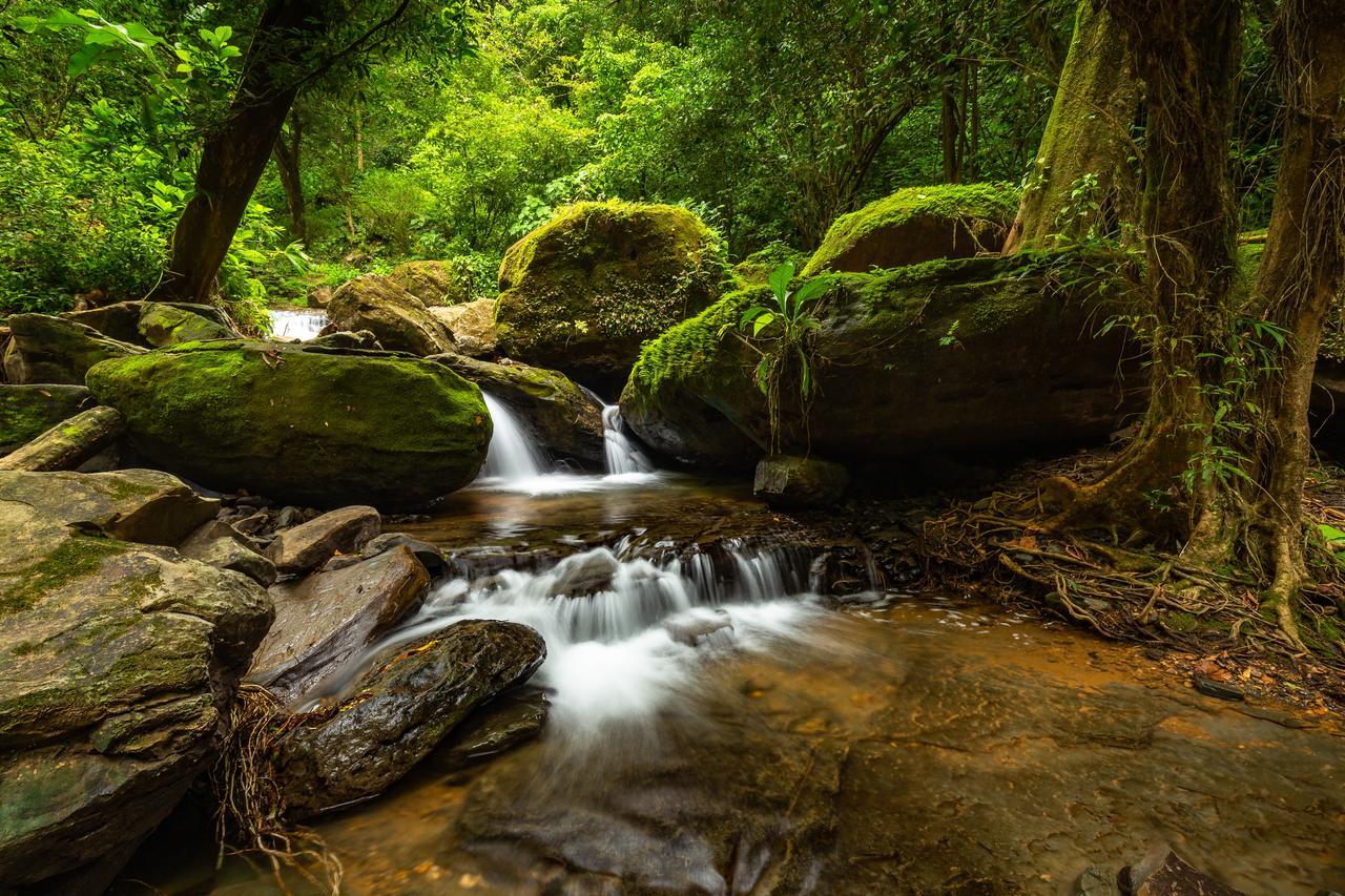 Cascada Elysiana Vila Platanillo Exterior foto